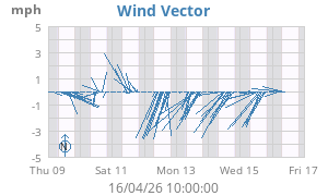Wind Vector